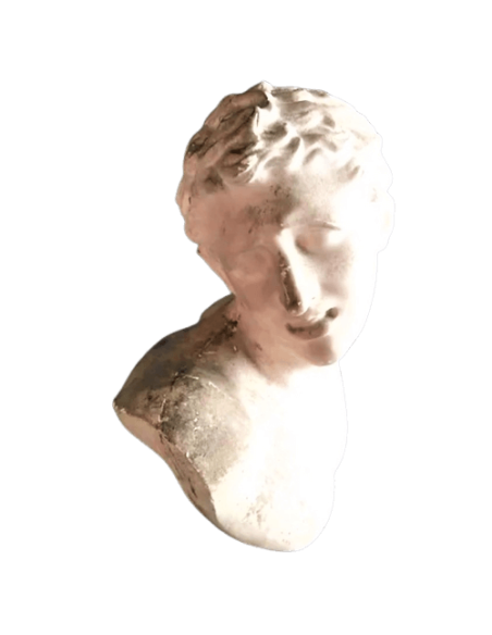 Busto de uno de los hijos de Laocoonte, Museo del Vaticano