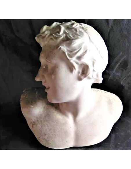 Busto de uno de los hijos de Laocoonte, Museo del Vaticano