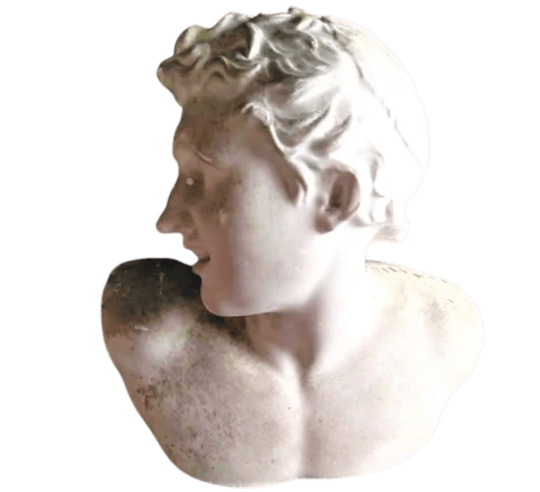 Busto del hijo de Laocoonte Esplendor antiguo del Museo del Vaticano