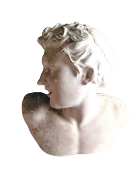 Busto de uno de los hijos de Laocoonte, Museo del Vaticano