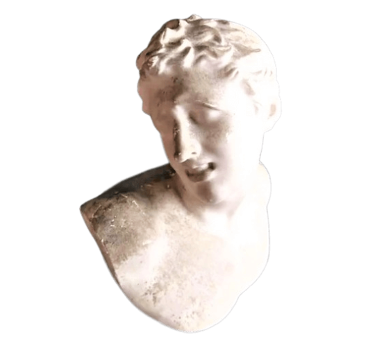 Busto de uno de los hijos de Laocoonte, Museo...
