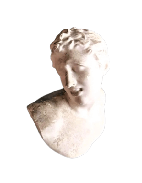 Busto de uno de los hijos de Laocoonte, Museo del Vaticano