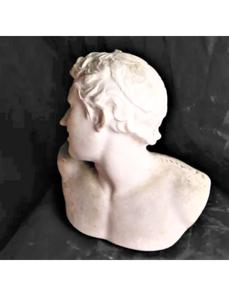 Busto de uno de los hijos de Laocoonte, Museo del Vaticano