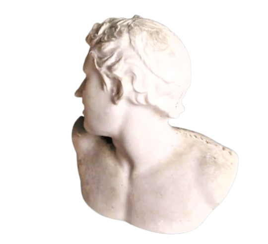 Busto de uno de los hijos de Laocoonte, Museo...