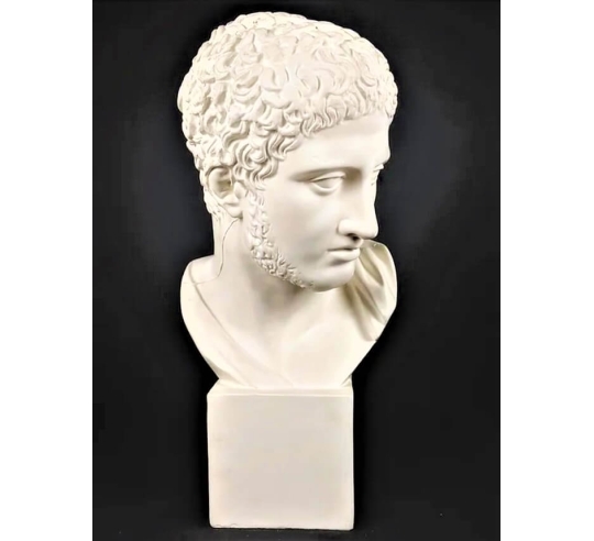 Busto de Diomedes, rey de Argos, hijo de Tideo...