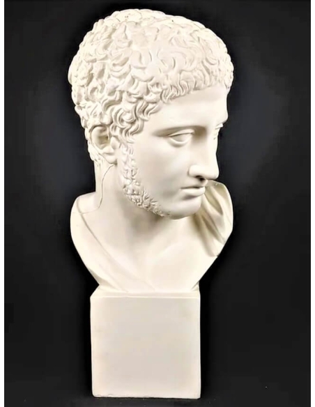 Busto de Diomedes, rey de Argos, hijo de Tideo y Deipile