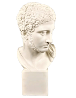 Buste de Diomède, roi d'Argos, fils de Tydée et de Déipyle