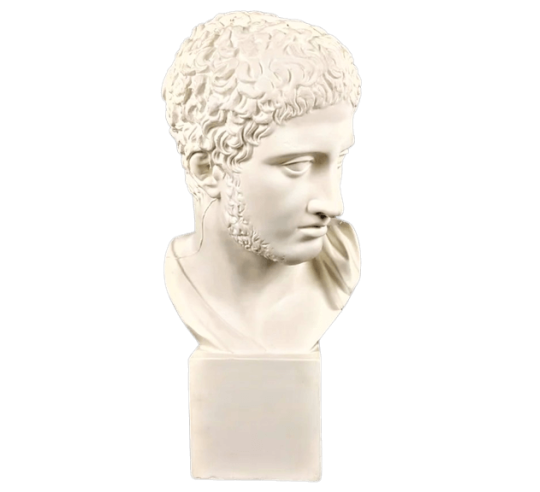 Busto de Diomedes, rey de Argos, hijo de Tideo y Deipile