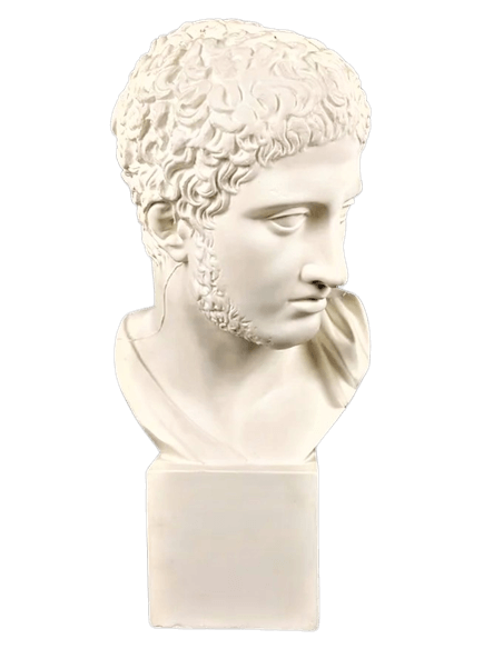Busto de Diomedes, rey de Argos, hijo de Tideo y Deipile