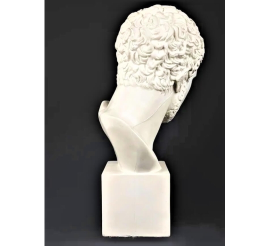 Busto de Diomedes, rey de Argos, hijo de Tideo...