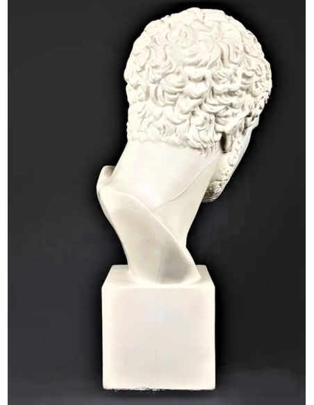 Busto de Diomedes, rey de Argos, hijo de Tideo y Deipile