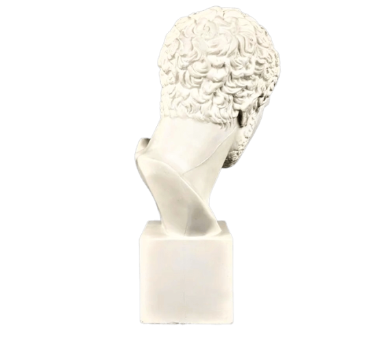 Busto de Diomedes, rey de Argos, hijo de Tideo...