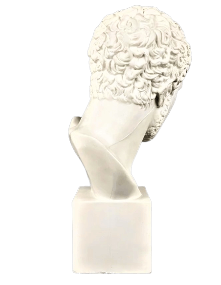 Busto de Diomedes, rey de Argos, hijo de Tideo y Deipile