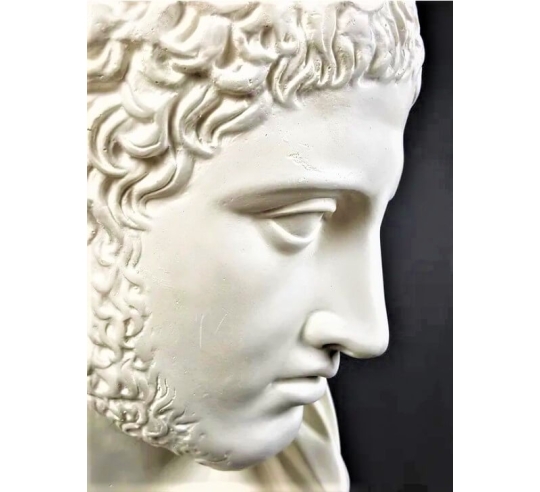 Busto de Diomedes, rey de Argos, hijo de Tideo...