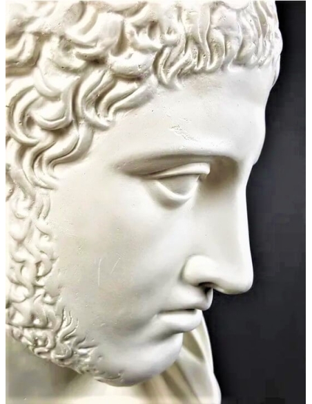 Busto de Diomedes, rey de Argos, hijo de Tideo y Deipile