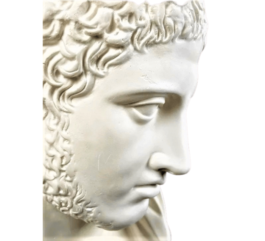 Busto de Diomedes, rey de Argos, hijo de Tideo...