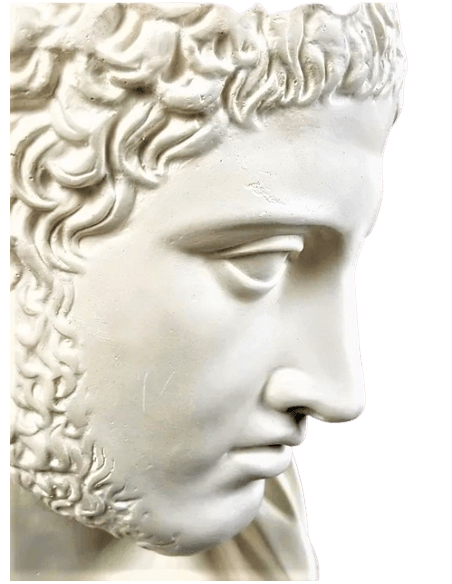 Busto de Diomedes, rey de Argos, hijo de Tideo y Deipile
