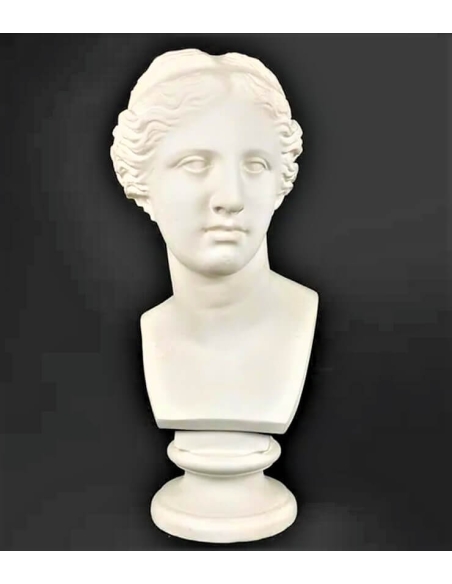 Busto de la Venus de Milo, Museo del Louvre
