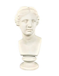 Buste de la Vénus de Milo, Musée du Louvre