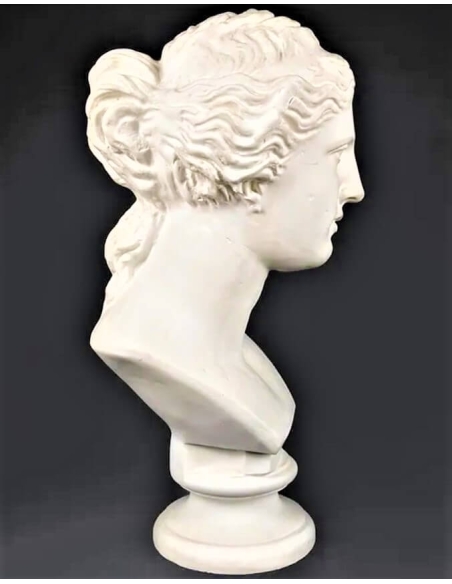 Busto de la Venus de Milo, Museo del Louvre