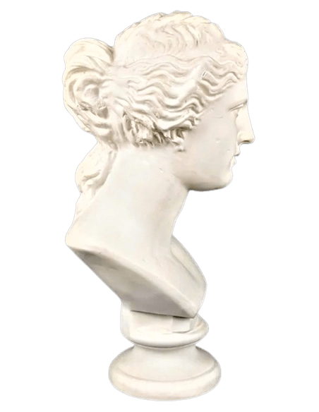 Busto de la Venus de Milo, Museo del Louvre