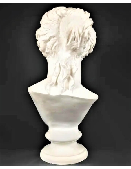 Busto de la Venus de Milo, Museo del Louvre