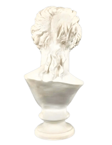 Busto de la Venus de Milo, Museo del Louvre