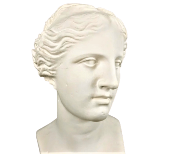 Busto vintage de escayola de Venus de Milo, 1920