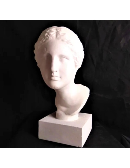 Buste de la Vénus de Martres d'après Praxitèle, réplique de l'Aphrodite de Cnide, Musée Saint-Raymond