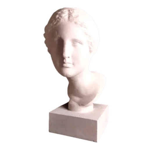 Busto de la Venus de Martres según Praxíteles, réplica de la Afrodita de Cnido, Museo Saint-Raymond