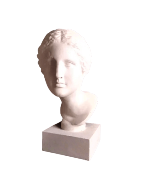 Buste de la Vénus de Martres d'après Praxitèle, réplique de l'Aphrodite de Cnide, Musée Saint-Raymond