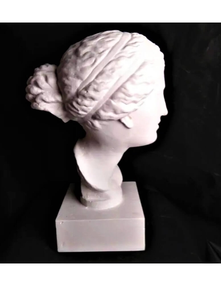 Buste de la Vénus de Martres d'après Praxitèle, réplique de l'Aphrodite de Cnide, Musée Saint-Raymond