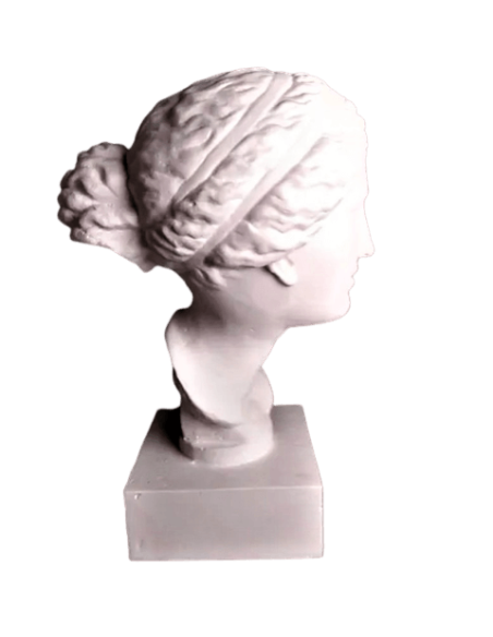 Buste de la Vénus de Martres d'après Praxitèle, réplique de l'Aphrodite de Cnide, Musée Saint-Raymond