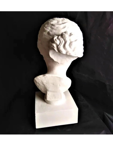 Buste de la Vénus de Martres d'après Praxitèle, réplique de l'Aphrodite de Cnide, Musée Saint-Raymond