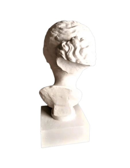 Buste de la Vénus de Martres d'après Praxitèle, réplique de l'Aphrodite de Cnide, Musée Saint-Raymond