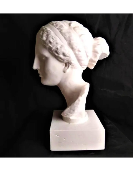 Buste de la Vénus de Martres d'après Praxitèle, réplique de l'Aphrodite de Cnide, Musée Saint-Raymond