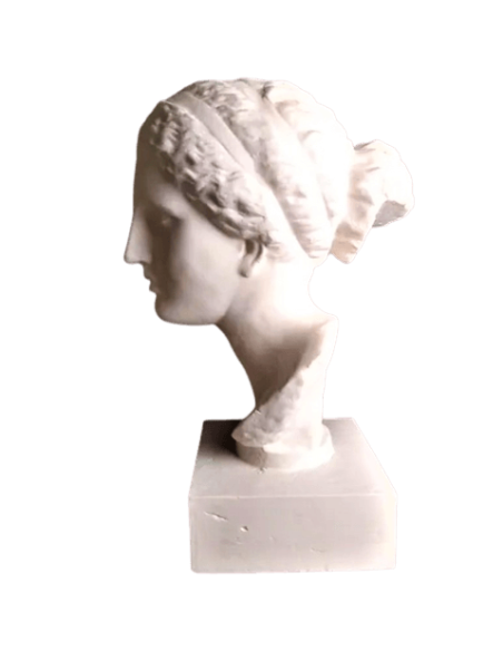 Buste de la Vénus de Martres d'après Praxitèle, réplique de l'Aphrodite de Cnide, Musée Saint-Raymond