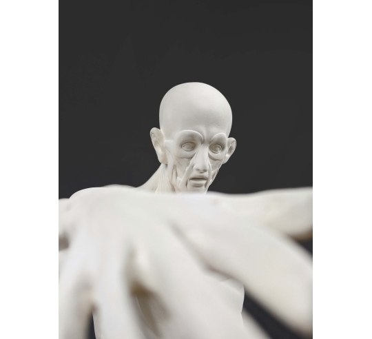 L'Écorché, bras droit tendu devant por Jean-Antoine Houdon