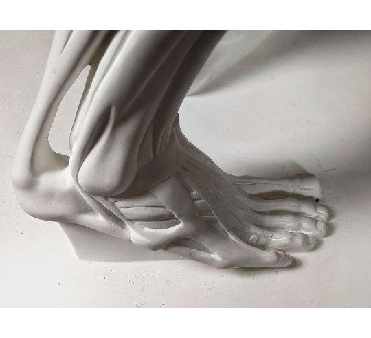 L'Écorché, bras droit tendu devant por Jean-Antoine Houdon