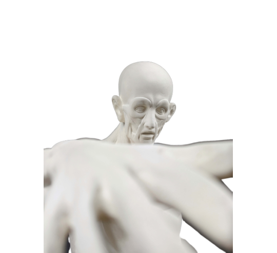 L'Écorché, bras droit tendu devant por Jean-Antoine Houdon