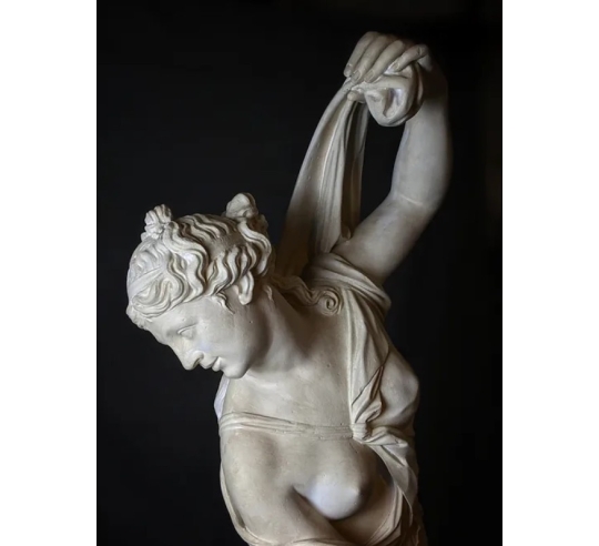 Estatua de la Venus Callipyge, Museo...