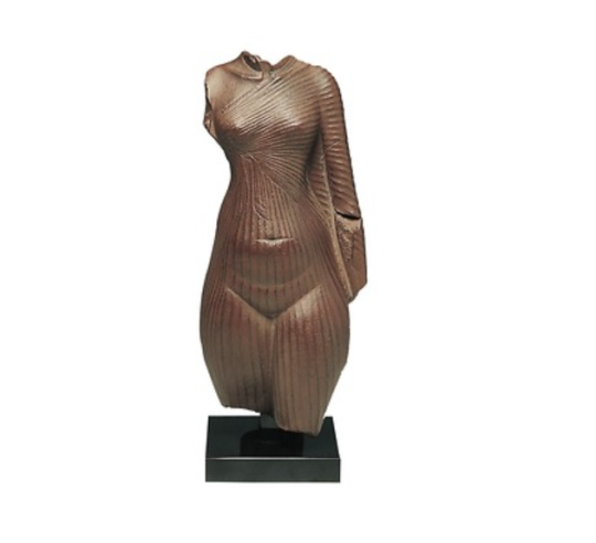 Torso de una Princesa Amarniana o torso de Nefertiti