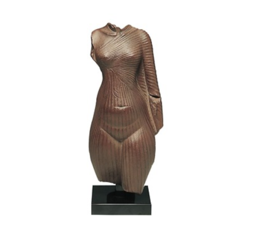Torso of an Amarnian Princess or Nefertiti's torso