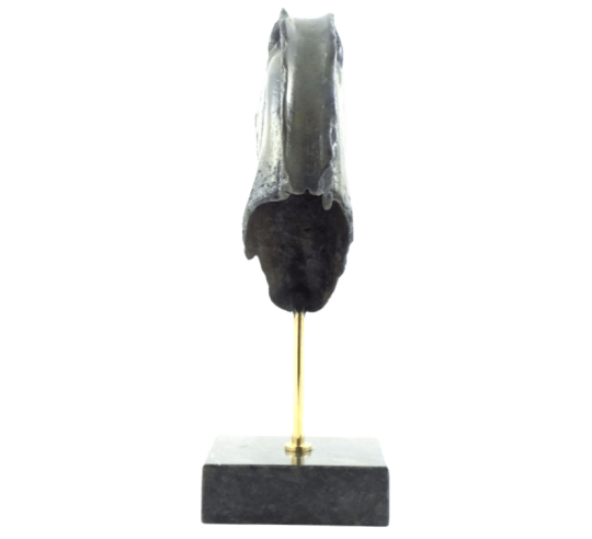 Tête de Cheval Grec en Bronze, Musée de l'Acropole