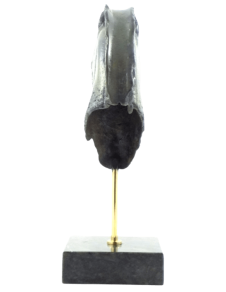 Tête de Cheval Grec en Bronze, Musée de l'Acropole